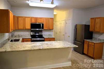 19919 Weeping Water Run, Cornelius, NC 28031 - Photo 11