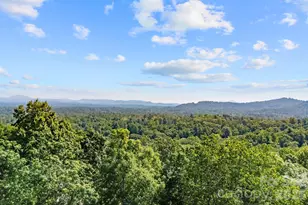 324 Dawnbrook Dr, Flat Rock, NC 28731 - Photo 35
