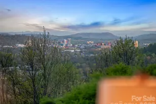 10 Beaverbrook Ct, Asheville, NC 28804 - Photo 45