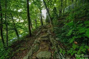 10 Beaverbrook Ct, Asheville, NC 28804 - Photo 37