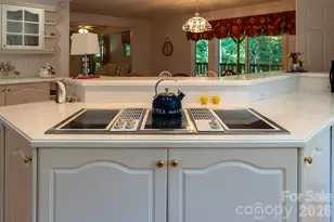 1886 Tanasee Gap Rd, Balsam Grove, NC 28708 - Photo 15