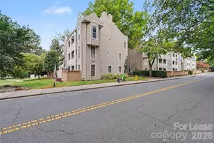 244 S Cedar St, Charlotte, NC 28202 - Photo 25