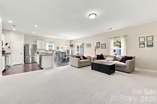 8219 Paw Valley Ln, Charlotte, NC 28214 - Photo 11