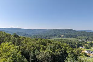 58 Timbertop Ln, Etowah, NC 28729 - Photo 41