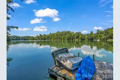 1237 South Cove Road, Mill Spring, NC 28756 - Photo 39