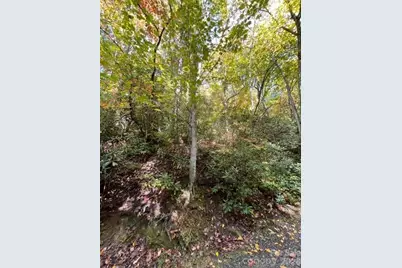 724 Blackgum Court #350, Hendersonville, NC 28739 - Photo 5