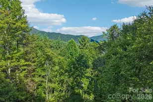 782 Setzer Cove Rd, Maggie Valley, NC 28751 - Photo 45