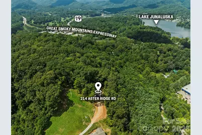 214 Aster Ridge Drive, Waynesville, NC 28786 - Photo 35