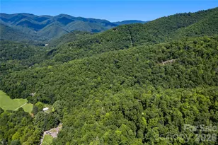 Off Little East Fork Rd, Canton, NC 28716 - Photo 1