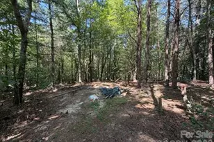 3205 Oran Yount Ln, Granite Falls, NC 28630 - Photo 13
