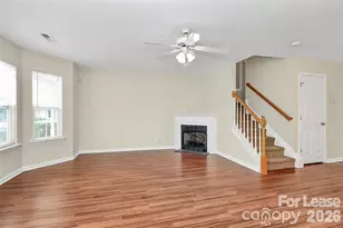 411 Caddy St, Fort Mill, SC 29715 - Photo 15