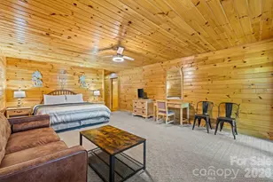 55 57 Observation Point Dr, Bryson City, NC 28713 - Photo 19