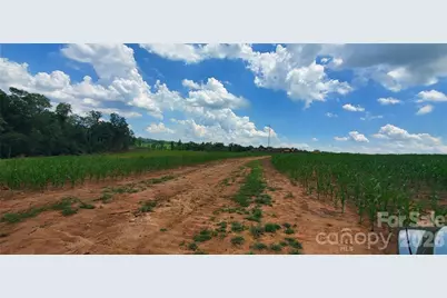 3641 US Highway 21 Highway, Hamptonville, NC 27020 - Photo 29