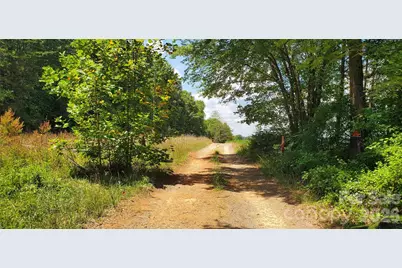 3641 US Highway 21 Highway, Hamptonville, NC 27020 - Photo 3