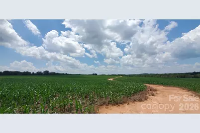 3641 US Highway 21 Highway, Hamptonville, NC 27020 - Photo 23