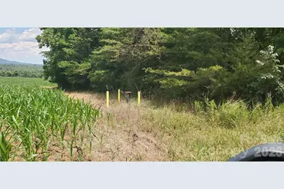 3641 US Highway 21 Highway, Hamptonville, NC 27020 - Photo 13