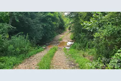 3641 US Highway 21 Highway, Hamptonville, NC 27020 - Photo 33