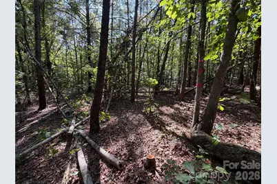 476 Southern Way, Nebo, NC 28761 - Photo 15