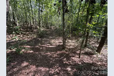 476 Southern Way, Nebo, NC 28761 - Photo 3