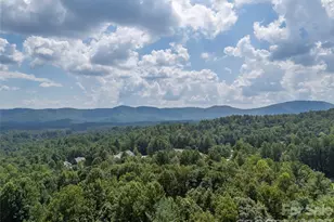 1003 Indian Cave Rd, Hendersonville, NC 28739 - Photo 37