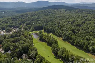 1003 Indian Cave Rd, Hendersonville, NC 28739 - Photo 39
