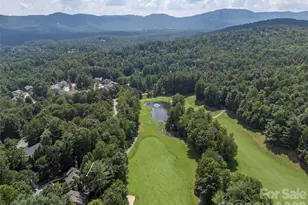 1003 Indian Cave Rd, Hendersonville, NC 28739 - Photo 41
