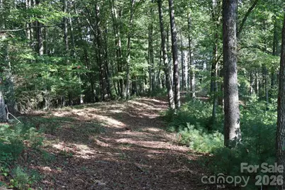 99999 Dream Valley Drive, Clyde, NC 28721 - Photo 15