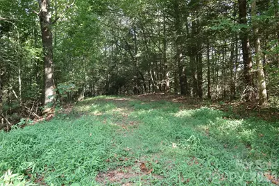 99999 Dream Valley Drive, Clyde, NC 28721 - Photo 13