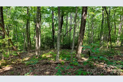 Lot 1 Hogback Mountain Road #1, Tryon, NC 28782 - Photo 17