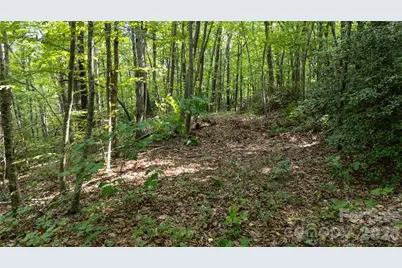 Lot 1 Hogback Mountain Road #1, Tryon, NC 28782 - Photo 15