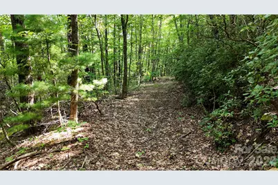 Lot 1 Hogback Mountain Road #1, Tryon, NC 28782 - Photo 11