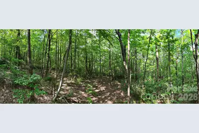 Lot 1 Hogback Mountain Road #1, Tryon, NC 28782 - Photo 9