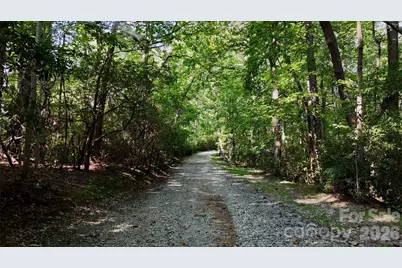Lot 2 Hogback Mountain Road #2, Tryon, NC 28782 - Photo 11