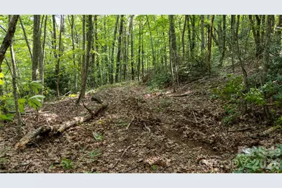 Lot 2 Hogback Mountain Road #2, Tryon, NC 28782 - Photo 21