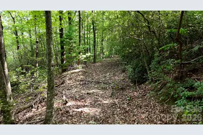Lot 2 Hogback Mountain Road #2, Tryon, NC 28782 - Photo 17