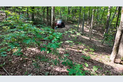 Lot 3 Hogback Mountain Road #3, Tryon, NC 28782 - Photo 5