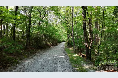 Lot 3 Hogback Mountain Road #3, Tryon, NC 28782 - Photo 7