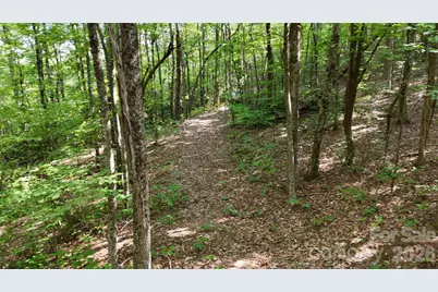 Lot 3 Hogback Mountain Road #3, Tryon, NC 28782 - Photo 15
