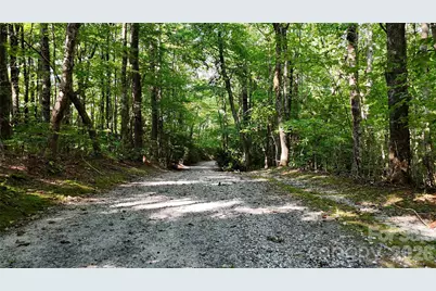 Lot 3 Hogback Mountain Road #3, Tryon, NC 28782 - Photo 23
