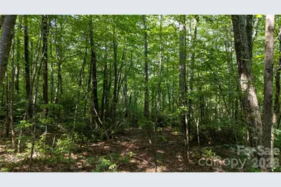 Lot 3 Hogback Mountain Road #3, Tryon, NC 28782 - Photo 19