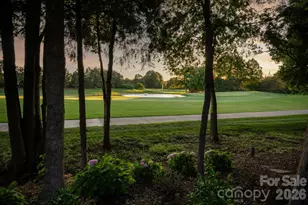 8718 Thornbury Pl, Waxhaw, NC 28173 - Photo 9