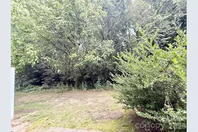 11257 Lions Mane Street, Charlotte, NC 28273 - Photo 17
