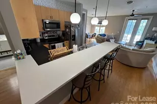 1101 W 1st St, Charlotte, NC 28202 - Photo 5