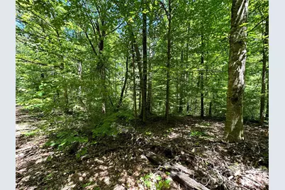 #168 Rolling Road, Lincolnton, NC 28092 - Photo 7