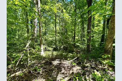 #168 Rolling Road, Lincolnton, NC 28092 - Photo 11