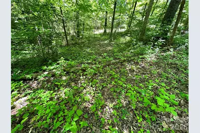 #168 Rolling Road, Lincolnton, NC 28092 - Photo 41