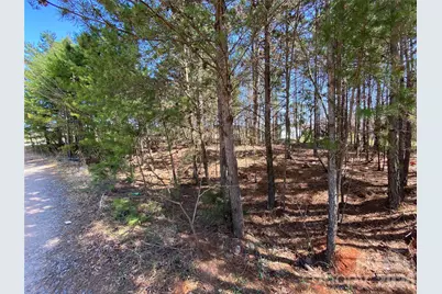 Next To 1670 Buck Oak Road, Lincolnton, NC 28092 - Photo 7