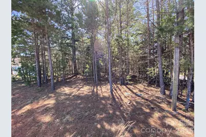 Next To 1670 Buck Oak Road, Lincolnton, NC 28092 - Photo 3