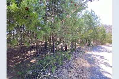Next To 1670 Buck Oak Road, Lincolnton, NC 28092 - Photo 1