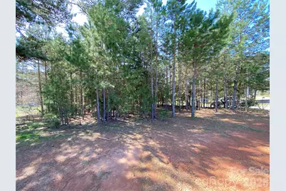 Next To 1670 Buck Oak Road, Lincolnton, NC 28092 - Photo 5